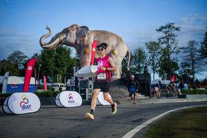 BIB: 
                            <button type="button" onclick="openModal(26541935)" class="btn btn-primary btn-sm float-right btn-popup" data-toggle="modal" data-target=".modal-high-quality">
                        <i class="fas fa-shopping-cart"></i> Add to Cart
                    </button>
                                            <button type="button" onclick="isThisMe(26541935, true)" class="btn btn-success btn-sm float-right btn-popup btn-isme hidden" data-toggle="tooltip" data-placement="bottom" title="นี่คือรูปของคุณใช่ไหม คลิกที่นี่เพื่อเอาเข้าอัลบั้ม">
                        <i class="fas fa-plus"></i> Add to album
                    </button>
                    <button type="button" onclick="isThisMe(26541935, false)" class="btn btn-warning btn-sm float-right btn-popup btn-isnotme hidden">
                        <i class="fas fa-ban"></i> Remove from album
                    </button>